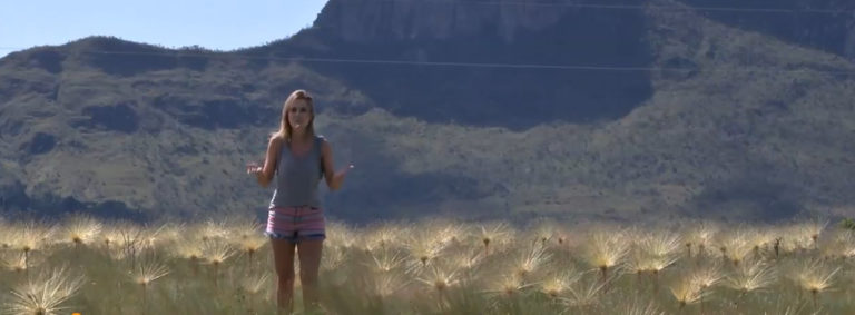 Vale da Lua + Gota Kaliandra (GO) - 19/05/16