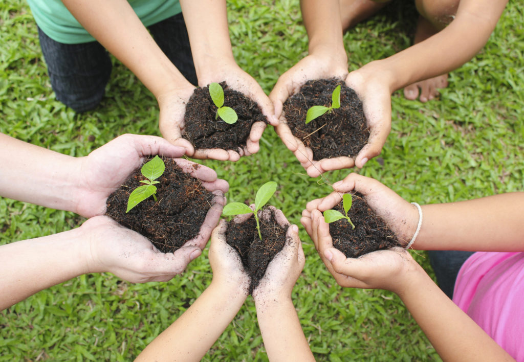 Hands holding sapling in soil surface with green grass background.