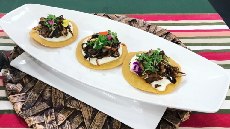 Tortilha de milho com carne seca do coração da bananeira