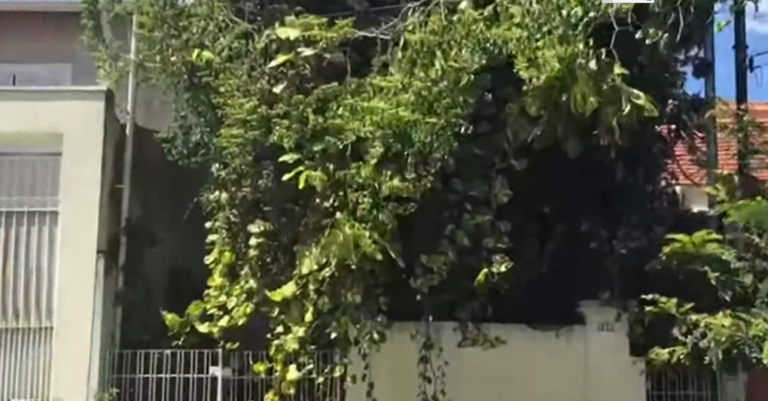 Moradora de SP denuncia casa abandonada na cidade