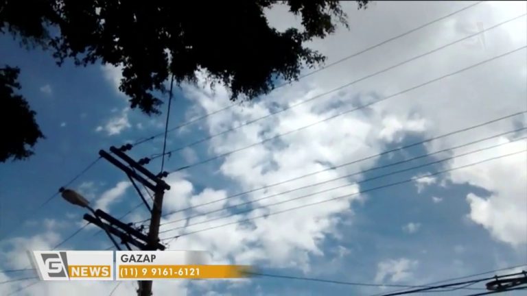 Morador reclama de árvore sem manutenção em SP