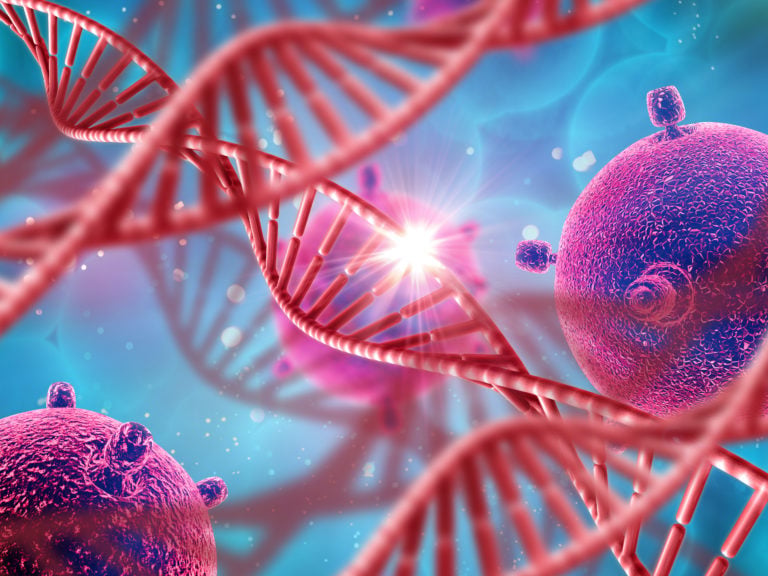 Começa hoje uma campanha de coleta de DNA para encontrar pessoas desaparecidas