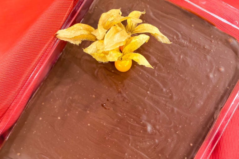 Biscoito gelado de Maracujá