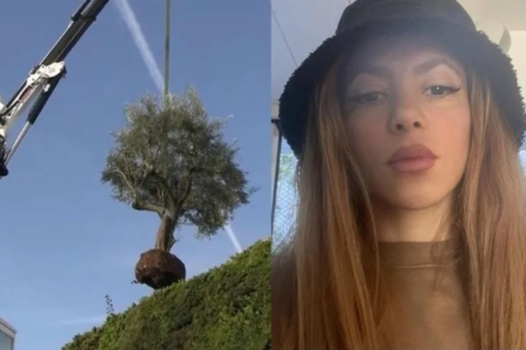 Imagem de capa representando o destaque: Show de Shakira deve atrair 2 milhões de pessoas no Rio