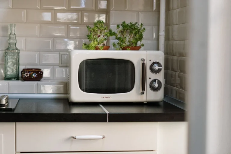 Receitas fáceis e rápidas no microondas