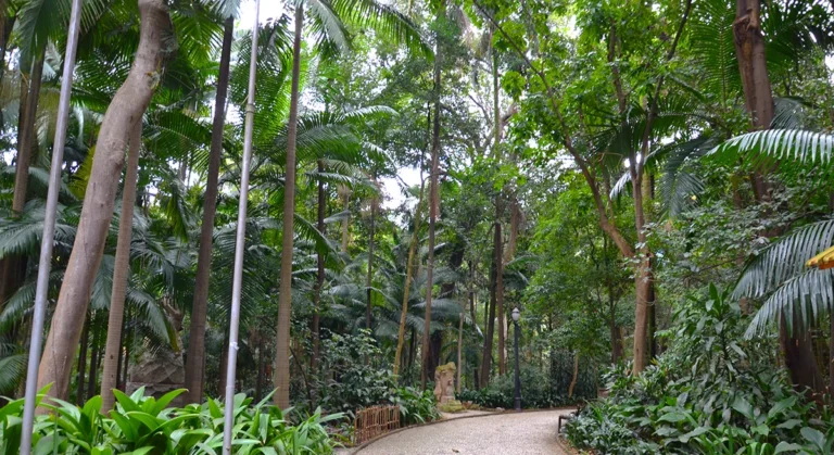 Após um mês fechados, parques estaduais são reabertos