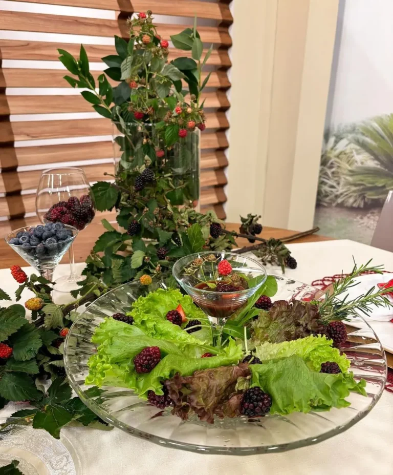 Salada mix de folhas com vinagrete de frutas vermelhas e geleia de amora