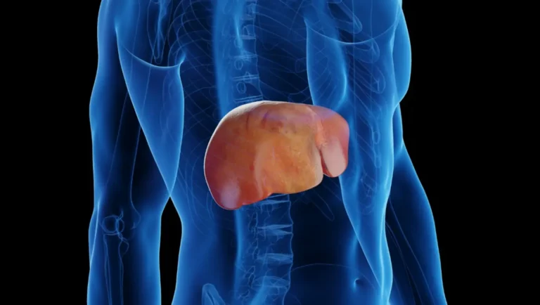 Imagem de capa representando o destaque: Hepatites Virais e Gordura no Fígado: Entenda os Sinais e Cuidados
