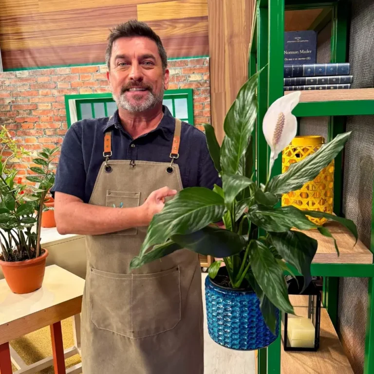 Dicas com as plantas no verão