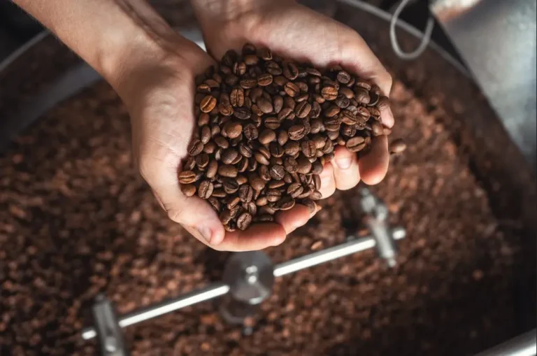 Imagem de capa representando o destaque: Curiosidades do café, do tradicional ao especial