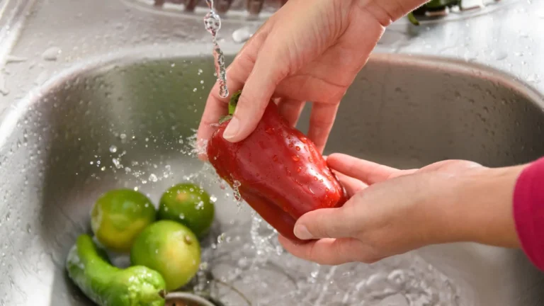 Aprenda a escolher e higienizar corretamente os alimentos