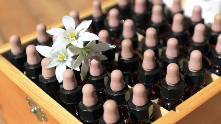 Imagem de capa representando o destaque: Descubra os benefícios dos Florais de Bach no foco e concentração