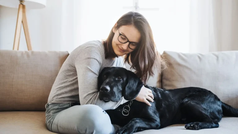 Imagem de capa representando o destaque: Saiba como lidar com a velhice e a proximidade de finitude dos pets