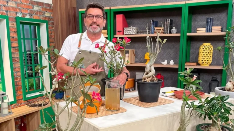 Imagem de capa representando o destaque: Aprenda a como cultivar a Rosa-do-deserto em casa