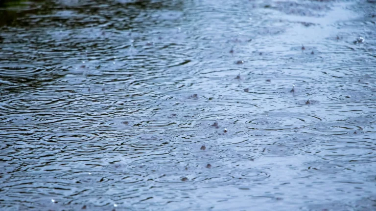 Imagem de capa representando o destaque: Previsão do Tempo - 12/12/2025