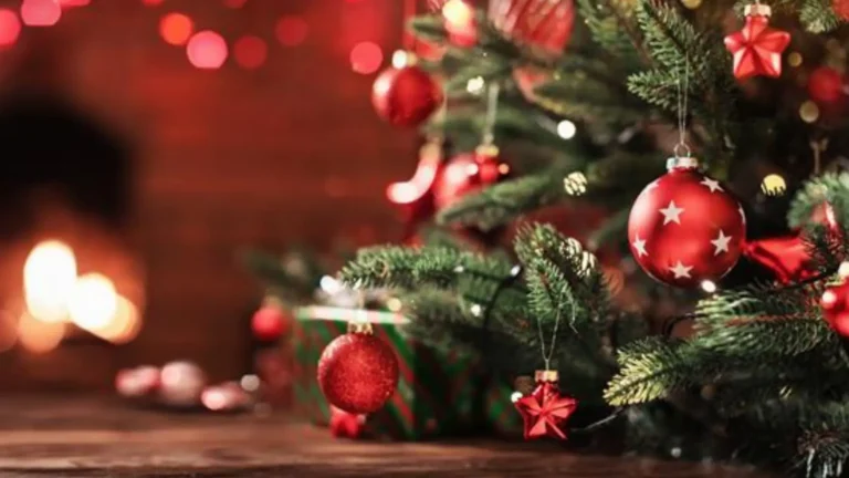 Saiba como estilizar a sua mesa com essas dicas simples e práticas