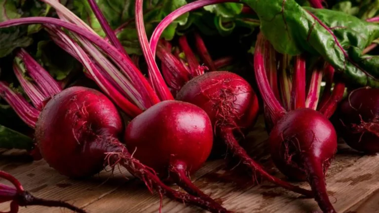 Saiba como inserir superalimentos na sua dieta