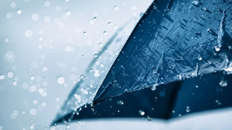 Previsão do Tempo - 16/01/2026