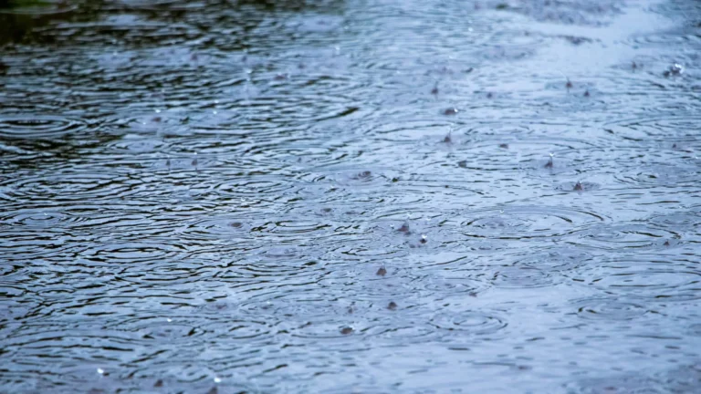 Previsão do Tempo - 02/02/2026