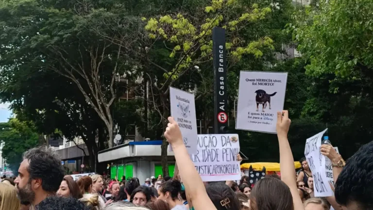 São Paulo tem protesto em defesa do Cão Orelha